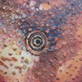 Acryl